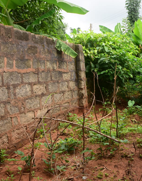 fp-image-fence rec